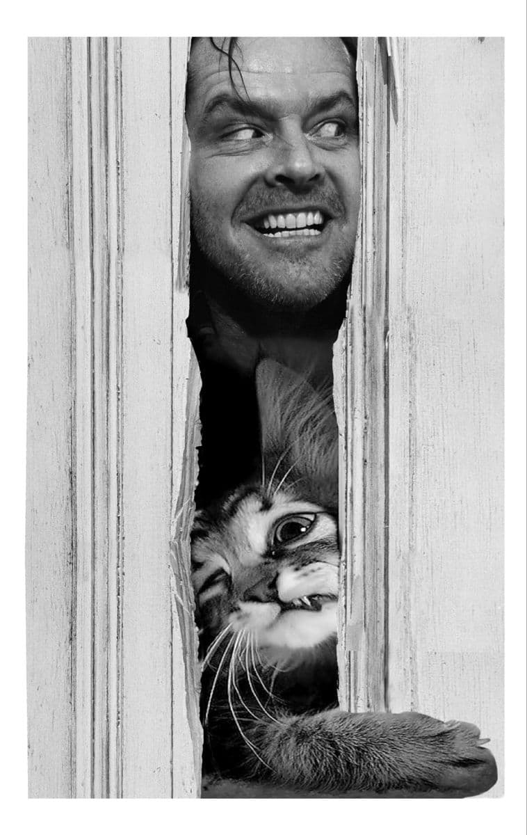 Компілятор ломиться до семантики